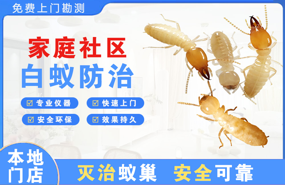 德清家庭社区白蚁防治