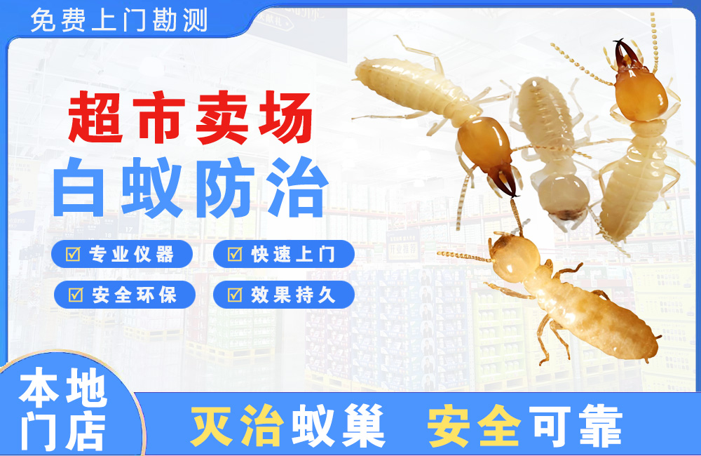德清超市卖场白蚁防治