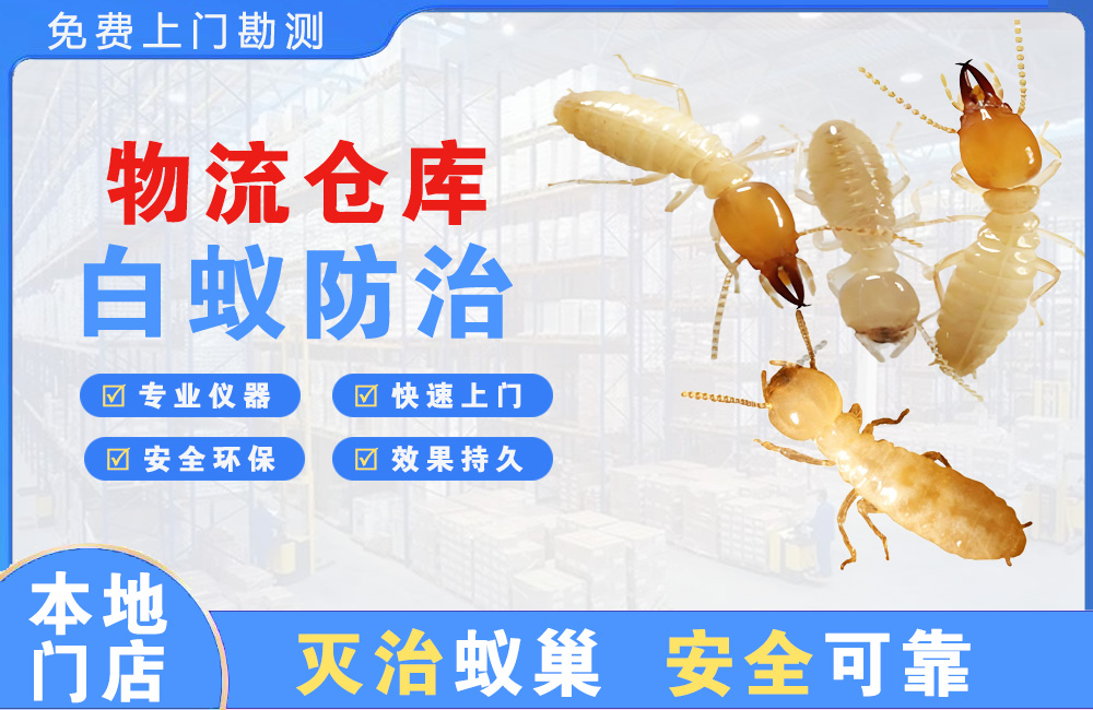 德清物流仓库白蚁防治