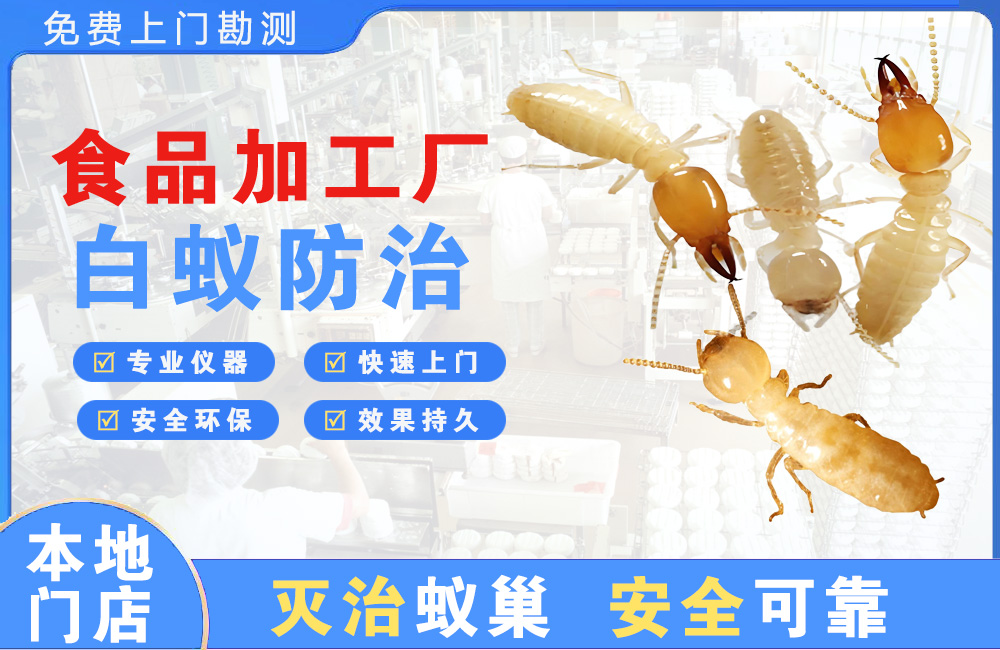 德清食品加工厂白蚁防治