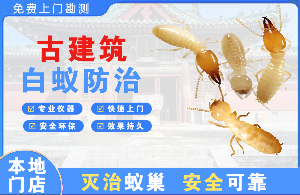 德清古建筑白蚁防治