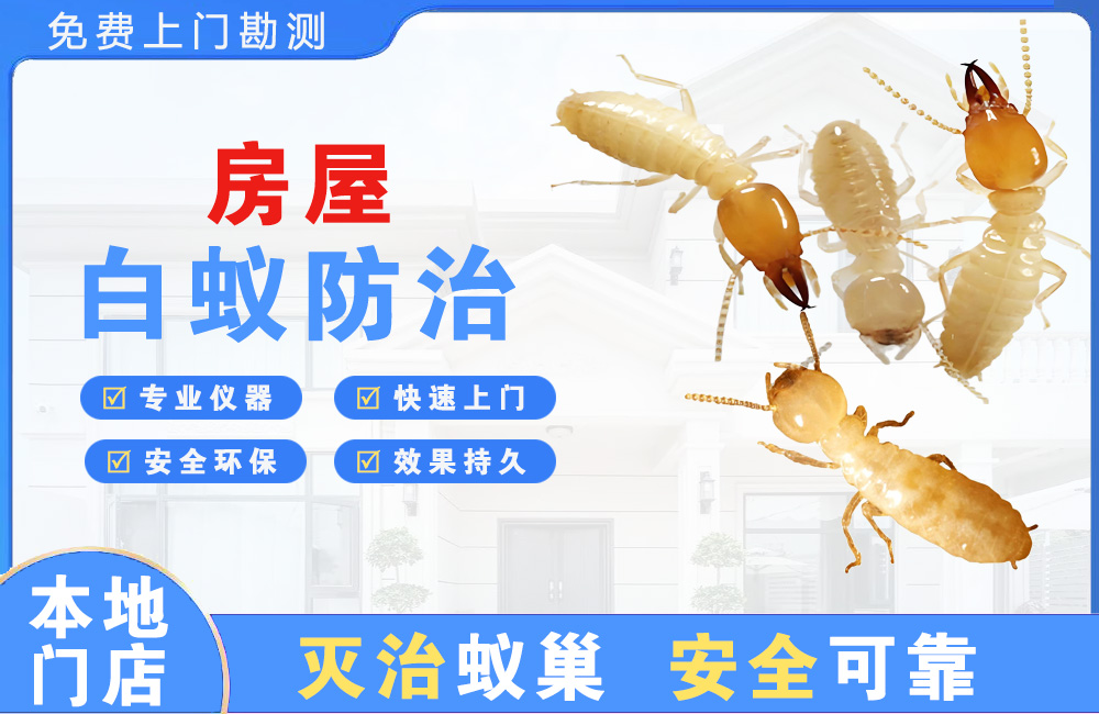 德清房屋白蚁防治