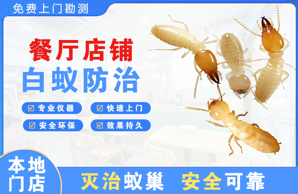 德清餐厅店铺白蚁防治